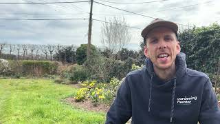 Read more about the article Turn your lawn into a wildflower meadow – part 1 (25-3-2025)