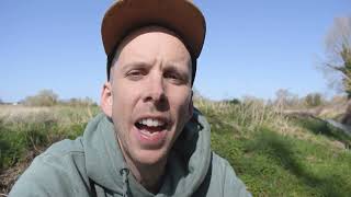 Read more about the article Turn your lawn into a wildflower meadow – part 2 (3-4-2025)