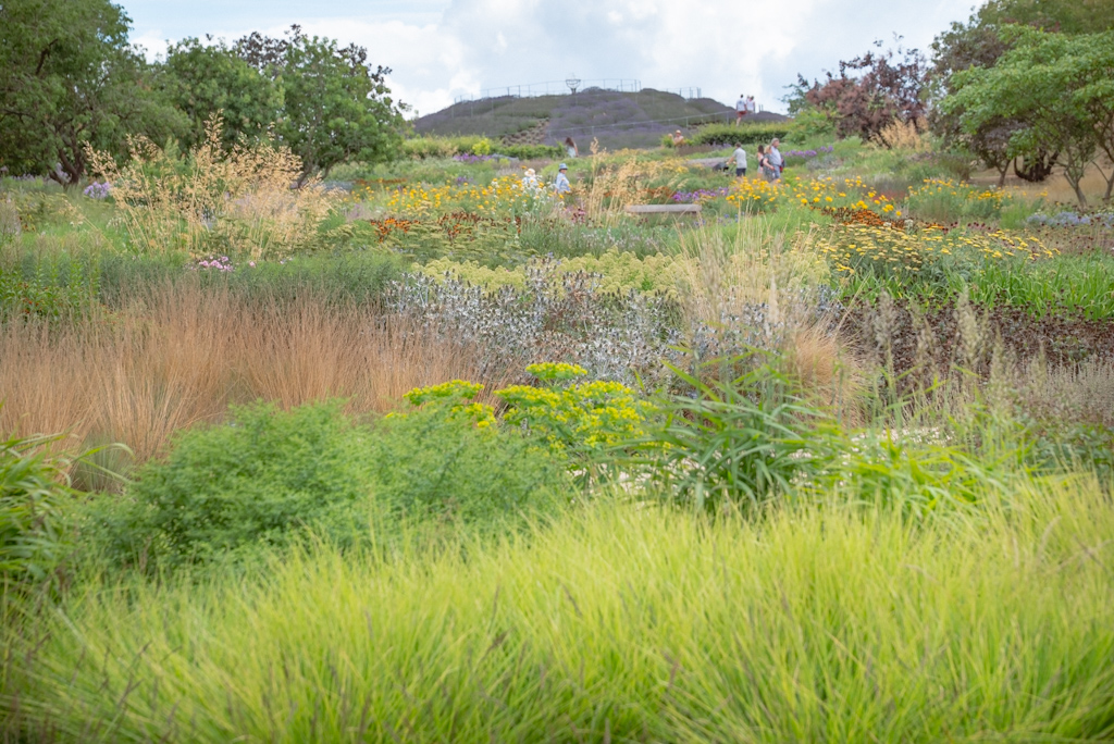 Read more about the article Free talk: Gardening for a better future (BOOK YOUR TICKETS)