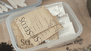 Photo of seed packets in a clear plastic container