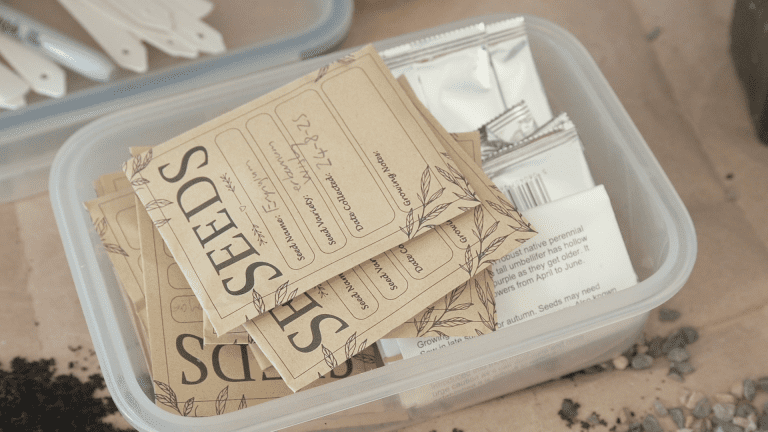 Photo of seed packets in a clear plastic container
